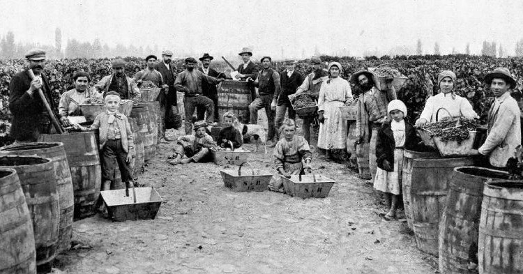 Canción de los Vendimiadores